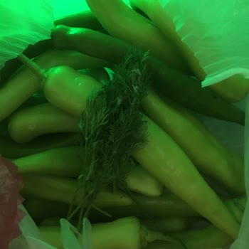 Arçelik 574508 MB No Frost Buzdolabı Arızalı