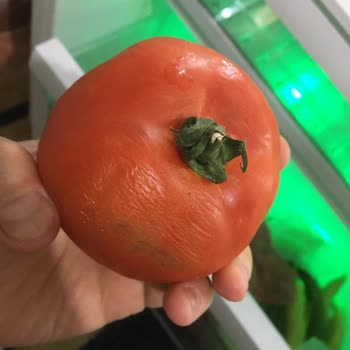 Arçelik 574508 MB No Frost Buzdolabı Arızalı