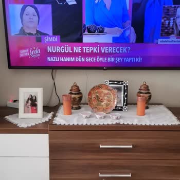 LED Issues in LG 165" 4K TV, Dim Screen, Short Lifespan