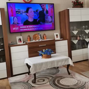 LED Issues in LG 165" 4K TV, Dim Screen, Short Lifespan