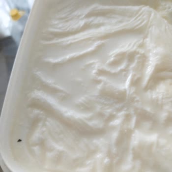 İçim Yoğurt Hijyen Kuralları