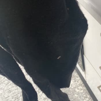 Vız Vız Bebe Kusuru Ürün Gönderimi