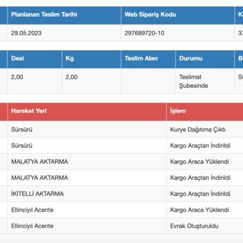 Medikal Ürün Beklerken Sürat Kargo İle Sabrı Öğrenip İyileşmek