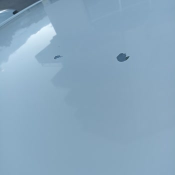 2012 Boya Atığı Sorunu Toyota Duyarsızlığı