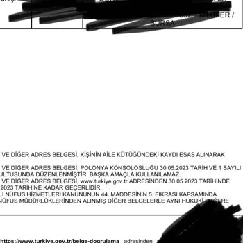 VFS Global Vize Ofis Sorunu