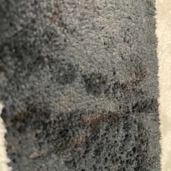 Babek Temizlik Hizmetleri Gebze Mağdur Olmam