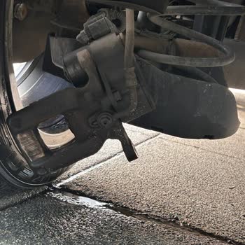 Baykaralar Otomotiv (İstanbul) Ve Peugeot Türkiye İnsan Hayatı