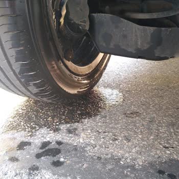 Baykaralar Otomotiv (İstanbul) Ve Peugeot Türkiye İnsan Hayatı