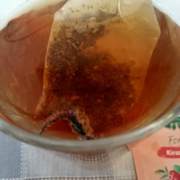 Doğadan Form Kiraz Sapı Çayın İçinde Böcek Çıkması