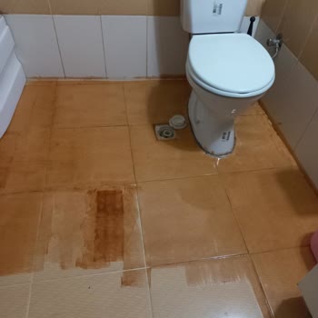 İsonem Yalıtım Boyası