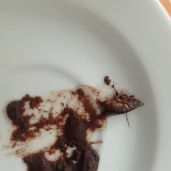 Kurukahveci Mehmet Efendi Ürününden Hamam Böceği Çıktı