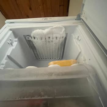 Uğur Derin Dondurucu Karlanma