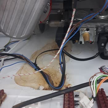 ECA Felis Kombi Arızası