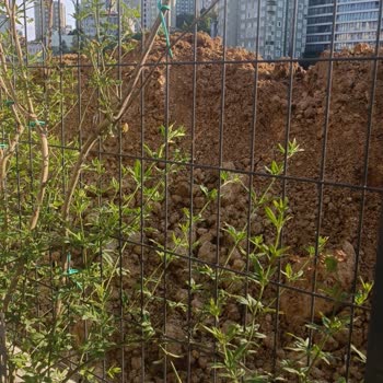 İstanbul Büyükşehir Belediyesi Döktüğü Toprağı Kaldırmıyor