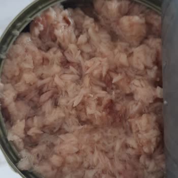 Migros Ton Balığının Kalitesiz Olması