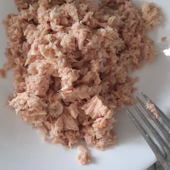 Migros Ton Balığının Kalitesiz Olması