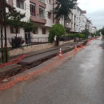 Alo 186 Enerjisa Tarafından Yapılan Yanlış Çalışma