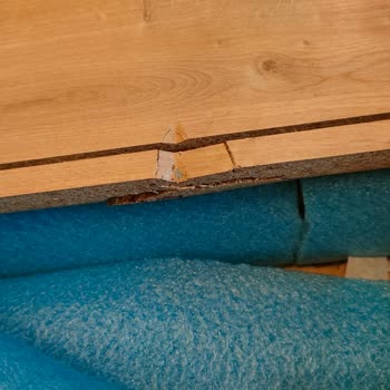 Avokado Konsept Kırık, Dökük, Patlak Mobilya Gönderimi