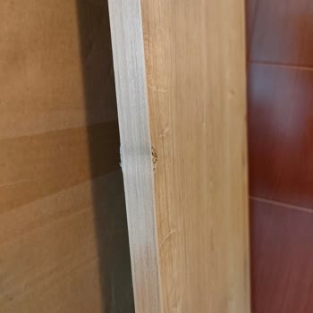 Avokado Konsept Kırık, Dökük, Patlak Mobilya Gönderimi