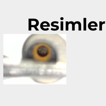 iPhone Cihazımın Sorunu Çözülmüyor Apple Destek İstiyorum