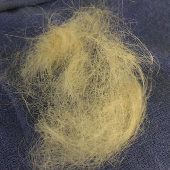 Bee Beauty Saç Maskesi Saçımı Yaktı