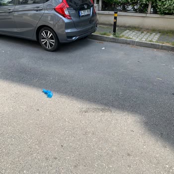 IKEA Servis Çalışanlarının Kabadayılığı Ve Sokağı Kirletmesi