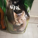 Carrefour SA Jetix Kedi Maması Tam Bir Fiyasko, Paramız Çöpe Gitti