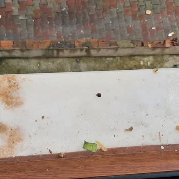 Emniyet Genel Müdürlüğü Üst Komşu Gürültüsü Son Bılmuyor!