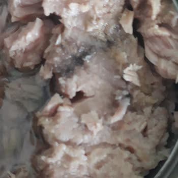 Bozuk Superfresh Ton Balığı