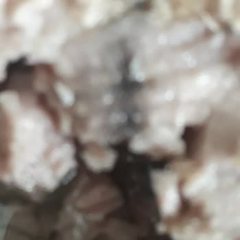 Bozuk Superfresh Ton Balığı