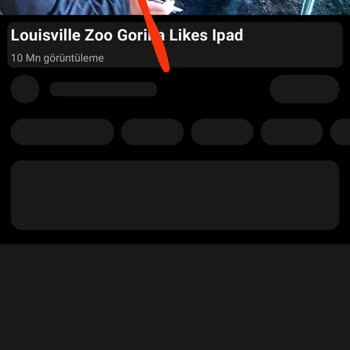 Turkcell Şebeke Çekmiyor Kopuyor!