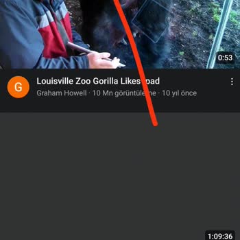 Turkcell Şebeke Çekmiyor Kopuyor!