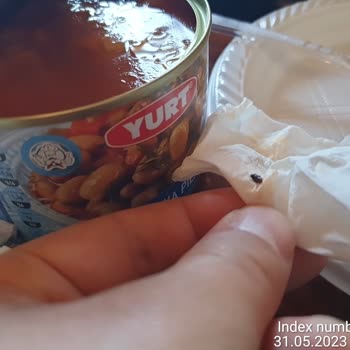 Yurt Konserve Konservenin İçinde Böcek Vardı