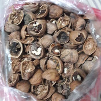 Erbaa_tadim_yaprak'ta Çürük Ceviz Satışı