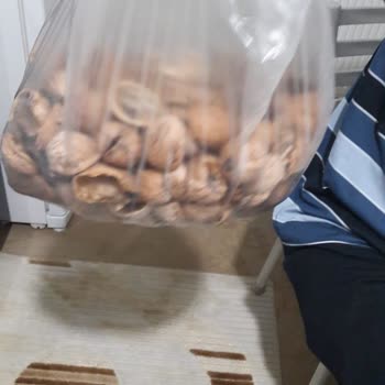 Erbaa_tadim_yaprak'ta Çürük Ceviz Satışı