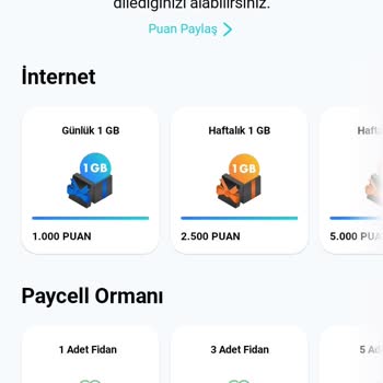 Paycell Puanım Gelmedi L