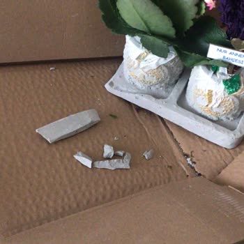 Yurtiçi Harmandalı Kırık Teslim!