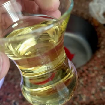 Güven ASA Zeytinyağı Tat Ve Renk