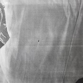 Arçelik Ürününü Değiştirmiyor, Eşyalarımız, Tül Perdemiz Yırtılıyor