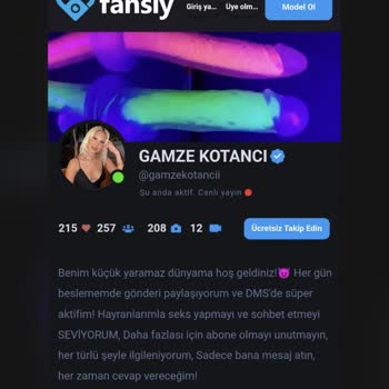 Wix.com Fansly Sitesinde Adımın Kullanılması