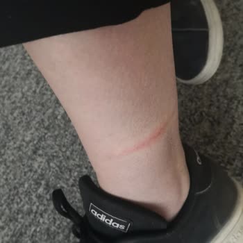 Nine West Bot Tasarım Kusuru