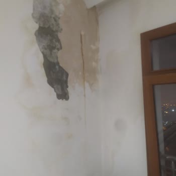 TOKİ Çatı Akıyor, Site Yönetimi Gelip Bakmıyor!