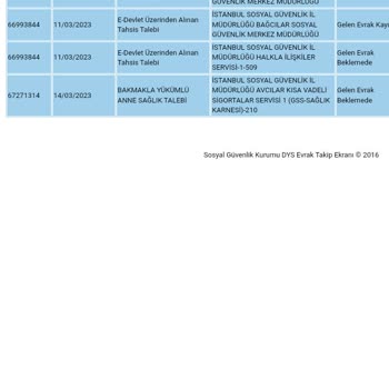 E-Devlet (Turkiye.gov.tr) Emekli Bağcılar Çalışmıyor Ya Da Devlet Çalışmıyor