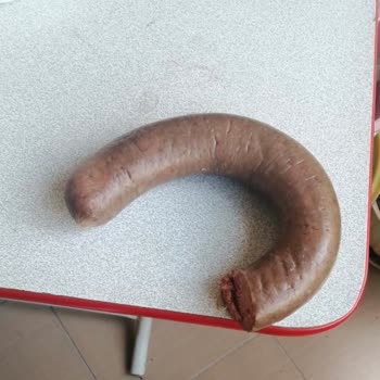 Göle Çapan Bozuk Ve Kötü Kokan Sucuk