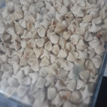 Şok Marketler Son Kullanma Tarihi Geçmemiş Küflü Mantı!