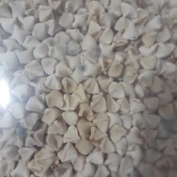 Şok Marketler Son Kullanma Tarihi Geçmemiş Küflü Mantı!