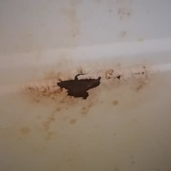 Arçelik Ürün Değişimi Hakkında