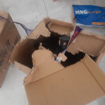 MNG Kargo Hasar Tanzim Süreci