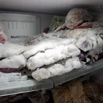 Bosch Elektrikli El Aletleri Buzdolabı Karlama Yapıyor