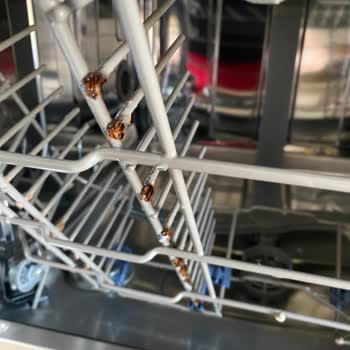 Teka Bulaşım Makinesi Sepet Paslanması